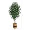 6ft. Ficus Artificial Tree with Natural Trunk in Handmade Natural Cotton Planter